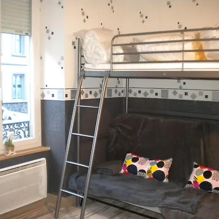 Апартаменты Marmottes Au Rdc A Hyper Centre Du Dore