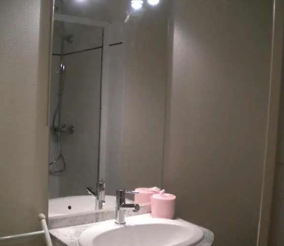 Marmottes Au Rdc A Hyper Centre Du Dore *