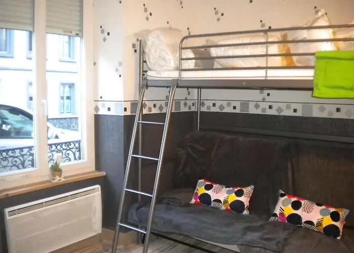 Marmottes Au Rdc A Hyper Centre Du Dore *