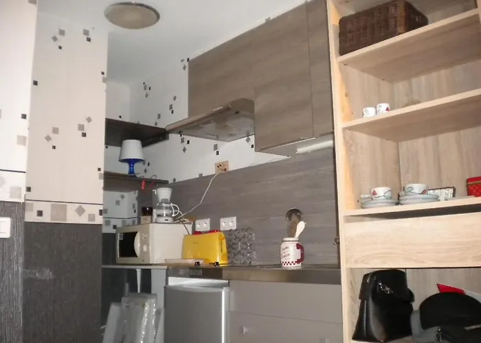 Marmottes Au Rdc A Hyper Centre Du Dore Mont-Dore